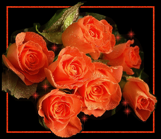 roza, rozyczka - roze pomaranczowe w ramce czarnejje5.gif